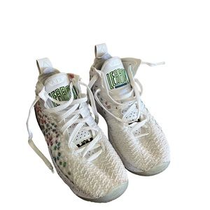 Nike Lebron 17